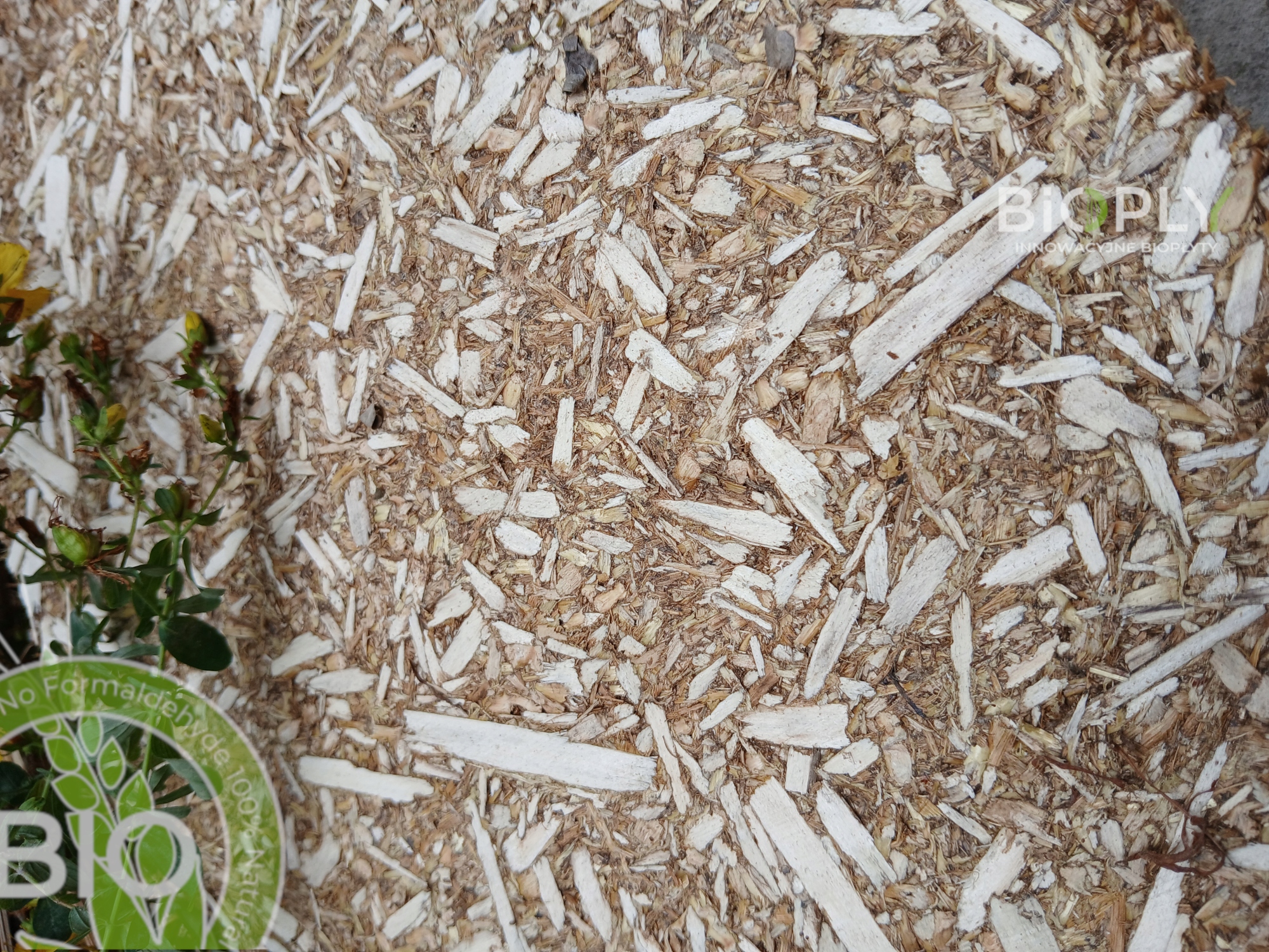 płyta budowlana 100% BIO EKO Bioply - zdjęcie 3