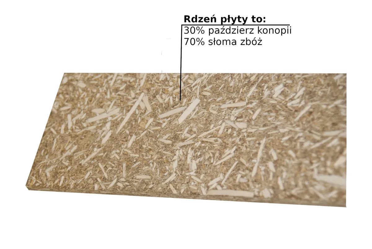 Płyta konstrukcyjna BioPly